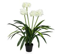 AGAPANTHUS - Plante artificielle Vert/Blanc