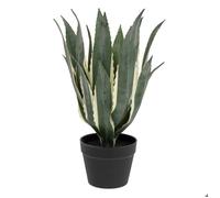 Atmosphera Créateur d'intérieur – Plante artificielle Agave 'Exotic Panama' H55cm Vert