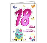 Age Mv 69-2019 Carte Joyeux Anniversaire 18 ans Fille Jeune Femme Adulte motif Majorité Majeure Permis B Conduire Voiture Cadeaux Maquillage Papillons