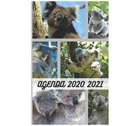 Agenda 1an 2020 2021 / Couverture Koala Mignon Australie / 300 Pages