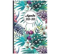 Agenda 2020-2021: Agenda Scolaire De Poche (Août 2020-Juillet 2021), 1 Jour Par Pages, Collège, Lycée, Bureau, Organisateur Hebdomadaire Et Mensuel, Semainier, Filigrane Intérieur, Motif Tropical Pour