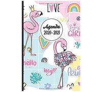 Agenda 2020-2021: Agenda Scolaire De Poche (Août 2020-Juillet 2021), 1 Jour Par Pages, Collège, Lycée, Bureau, Organisateur Hebdomadaire Et Mensuel, Semainier, Design Intérieur, Motif Flamant Rose Pou