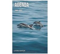 Agenda 2020 2021 Agenda Scolaire Journalier Océan Dauphins Bleu Format 15,24 X 22,86 Cm: Cahier Pour Une Année Scolaire Réussie
