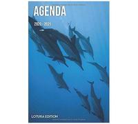 Agenda 2020 2021 Agenda Scolaire Journalier Océan Dauphins Format 15,24 X 22,86 Cm: Cahier Pour Une Année Scolaire Réussie
