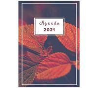 Agenda 2021 Journalier A4: Grand Format ProfessionnelPlanificateur Et Calendrier De Rendez-Vous A4 Avec Heures Du 1er Janvier 2021 Au 31 Décembre 2021 Liste Des Tâches Quotidiennes Agenda, Orga