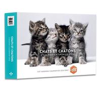 Agenda - Calendrier Chats et chatons 2026 - Collectif - Hugo Image - Agenda