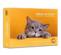 Agenda - Calendrier Drôles de chats 2026 - - Collectif - Hugo Image - Agenda