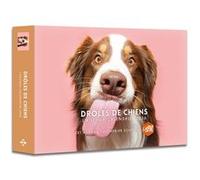 Agenda - Calendrier Drôles de chiens 2026 Collectif (Auteur)