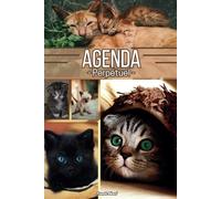agenda chats et chatons journalier | 2 jours par pages décorées par des dessins de chats | Format 15x22 cm: Cadres à remplir des choses à faire | ... | Cahier calendrier perpétuel réutilisable