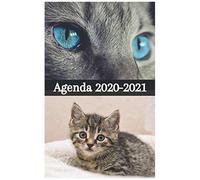Agenda Ecole - Rentrée Septembre 2020 / Chatons Et Chats: 1 Page Complète Par Jour Scolaire