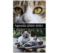 Agenda Etudiant - Rentrée Septembre 2020 / Couverture Chats - Chatons: 1 Page Complète Par Jour Scolaire