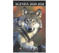 Agenda Etudiant Rentrée Septembre 2020 / Loup Wolf Regard / 1 Jour Scolaire Par Page Complète: Répertoire, Suivi Des Notes, 2 Emplois De Temps, Vacances Scolaires Par Zone