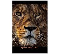 Agenda Scolaire 2020 2021: Agenda Journalier Une Page Par Jour, Agenda Semainier, Étudiant, Collège, Lycée