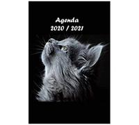 Agenda Scolaire 2020 2021: Agenda Journalier Une Page Par Jour, Agenda Semainier, Étudiant, Collège, Lycée