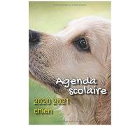 Agenda Scolaire 2020 2021 Chien: Agenda Scolaire 2020 2021 AnimauxAgenda Journalier 2020 2021 Avec Emploi Du Temps, Calendrier, Lists To Do, Calendrier Des Vacances Et Espaces Pour Noter Chaque Jour