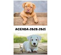 Agenda Scolaire 2020 2021 / Chiot / 1 Jour Scolaire Par Page: Inclus : Répertoire, Suivi Des Notes, 2 Emplois De Temps, Vacances Scolaires Par Zone