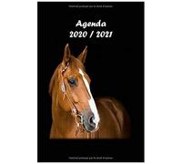 Agenda Scolaire 2020 2021 Format A5 Chevaux: Agenda Journalier, Agenda Semainier, Une Page Par Jour, Étudiant Collège Lycée