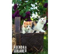Agenda Scolaire 2026 2027: Chat - Pour Étudiants, Primaire, Collège et Lycée | De Septembre 2026 à Août 2027