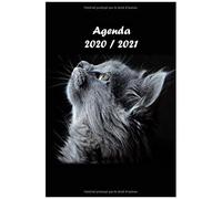 Agenda Scolaire Chat: Agenda Journalier Une Page Par Jour 2020 2021