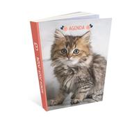 Agenda Scolaire - Chat - Chaton - 2023/2024 - 1 Page Par Jour - Août 2023 À Août 2024