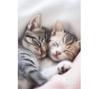 Agenda Scolaire: Chat, Chaton, Animaux, Mignon | Journalier, Un Jour par Page | 12x17 cm, Format Standard, Léger | Ecole Primaire, CP, CE1, CE2, CM1, ... Etudiant | Enfant, Fille, Garçon, Ado