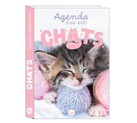 Agenda scolaire Chats 2026-2027 - Collectif - Editions 365 - broché - Agenda
