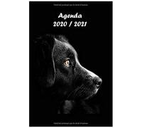 Agenda Scolaire Chien: Agenda 2020 2021 Journalier Une Page Par Jour