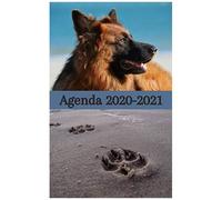 Agenda Scolaire Chiens À La Plage - Rentrée Septembre 2020: 1 Page Complète Par Jour D'école