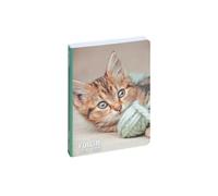 Agenda scolaire journalier Exacompta Forum Animaux Chaton 12 x 17 cm Août 2024 à Juillet 2025 Multicolore G