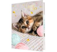 Agenda Scolaire Journalier - Visuel Chatons Pelote de Laine - Août 2026 à Juillet 2027 - Format 12 x 17 cm