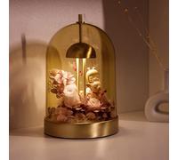 AGM Lampe de Table, Lumière Ambrée avec 4 Niveaux de Luminosité | Abat-jour Amovible | Contrôle Tactile | Lampe de Chevet Décorative pour pour Chamre, Bar, Salon
