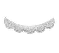 Agmoctz Décoration de Fête D'Enterrement de Vie de Jeune Fille: Bannière à Franges Festonnées Argentées Irisées, Panneau d'anniversaire, Décoration Scintillante