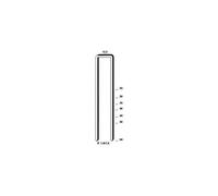 Agrafes S4/16NC BOSTITCH - 116