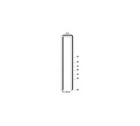 Agrafes S4/16NC pour MIIIFS - Boite de 10000 - BOSTITCH