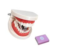 Agrafeuse de bureau en forme de prothèse dentaire, A | Forme de prothèse à bouche ouverte, action d ' agrafage qui imite la fermeture des dents, pour les espaces de travail