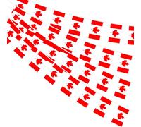 AhfuLife 10M Guirlande Drapeau Canada, 2Pcs Banderole Drapeau Canadien, 30 Petit Drapeaux du Canada pour Decor Fête de Nationale Jour du Souvenir Coupe du Monde Stade Bar Jardin