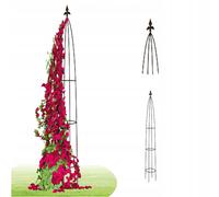 Treillis Spalier Arc de roses Support pour parterres de fleurs 180cm Acier Échafaudage grimpant