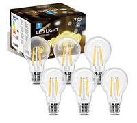 Aigostar Ampoule LED Edison Rétro Vintage Filament E27 6W équivalant à Ampoule Halogène de 55W, 730 Lumens, Blanc Chaud 2700K, Lampe Décorative A60, Angle de 330º, CRI ≥ 80, Lot de 6