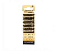 Aigostar Piles carbone-zinc R03 400 mAh 1,5 V Ø10,3 x H44,3 mm - Blister x12