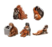 Aimant de réfrigérateur « Protect Punch the Monkey » - En peluche robuste - En peluche - Avec aimant puissant en néodyme - Pour réfrigérateur, tableau blanc et surfaces métalliques - Cadeau inspirant