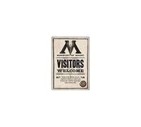 Aimant En Metal Harry Potter Ministry Of Magic