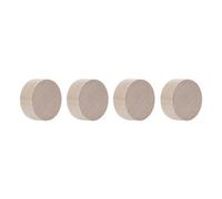 Aimant néodyme Circle Wood Series, bouleau