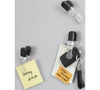 Aimants clip GLOSSY, kit de 4, assorti