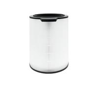 Air 6000 Filtre de rechange pour purificateur d'air Bosch Air 6000, filtre HEPA 3 en 1, filtre à charbon actif et pré-filtre remplaçable (1 pièce)