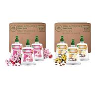 Air Wick Désodorisant Maison Spray Automatique Sans Gaz | Active Fresh, 3 Recharges Parfum Fleur de Cerisier & Framboise + 3 Recharges Parfum Vanille & Beurre de Karité