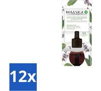 Air Wick – Recharge – Botanica Sauge méditerranéenne & Eucalyptus – 19 ml - Pack économique - 12 pièces