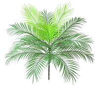 Aisamco 1 Feuilles Palmier Monstera 63cm | Plante faux tropicale, Décoration patio jardin maison, Grandes feuilles, Vert luxuriant, Style hawaïen