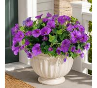 Aisamco Fleurs Artificielles pour Décoration Intérieure et Extérieure, Lot de 6 Bouquets de Liseron Faux en Soie Résistants aux UV pour Maison, Jardinière, Veranda, Terrasse, Jardin (Violet)