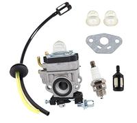 AISEN Carburateur avec joint, bougie d'allumage, filtre à essence, tuyau à essence pour AL-KO FRS 410, FRS 4125 débroussailleuse / Wolf HSG 55 Taille-haie