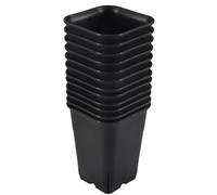 Aisuoka 12 PièCes SéRies-Pack Pot de Plantes Succulentes en Plastique Carré Noir pour Fleurs de Plantes Cactus, Etc., Pot de Fleurs de PéPinièRe Noir